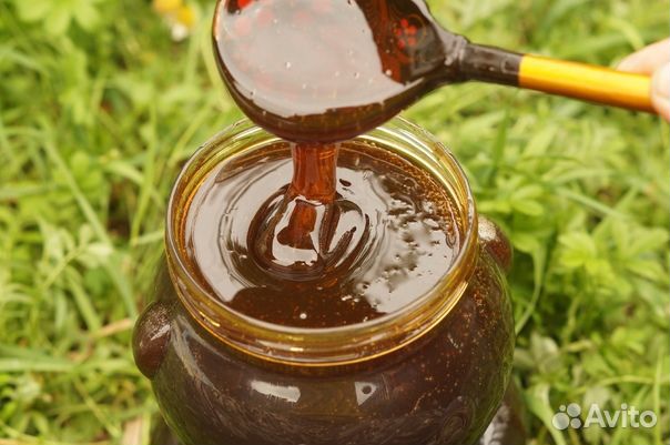 Мед Алтайское разнотравье 2023 (3 литра)