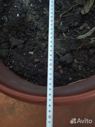 Горшок для цветов напольный