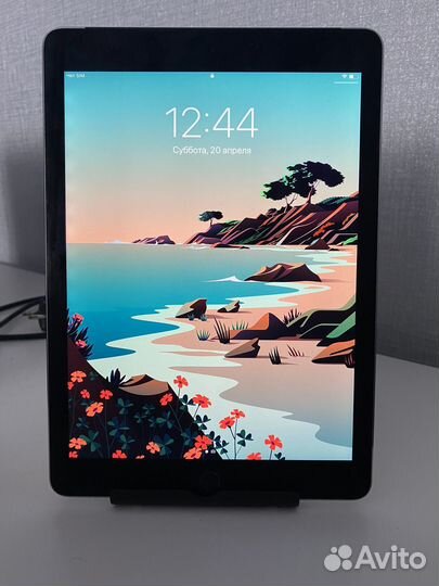 iPad air 2 cellular