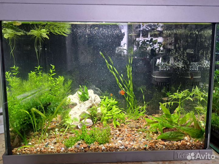 Аквариум 30 литров