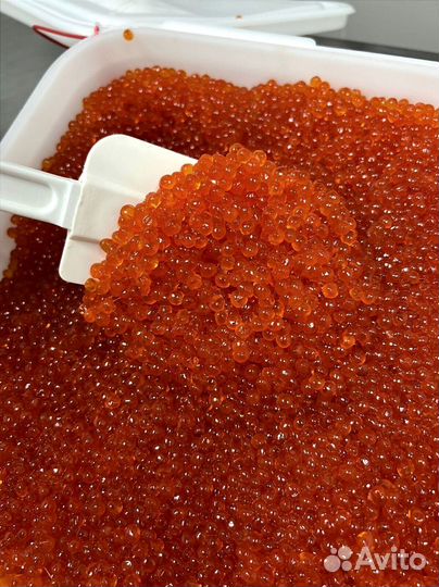 Красная икра оптом