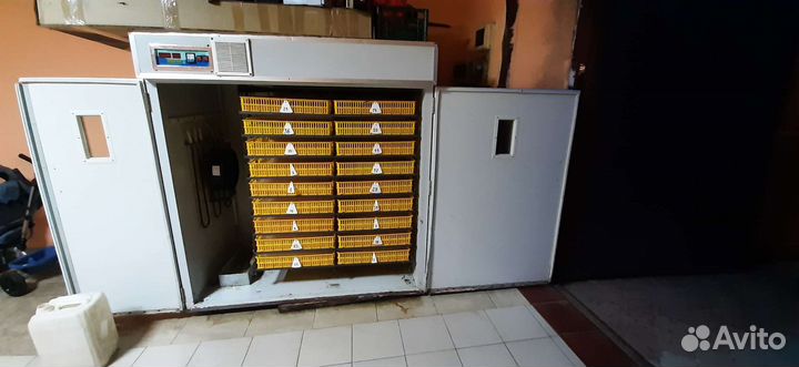 Автоматический инкубатор