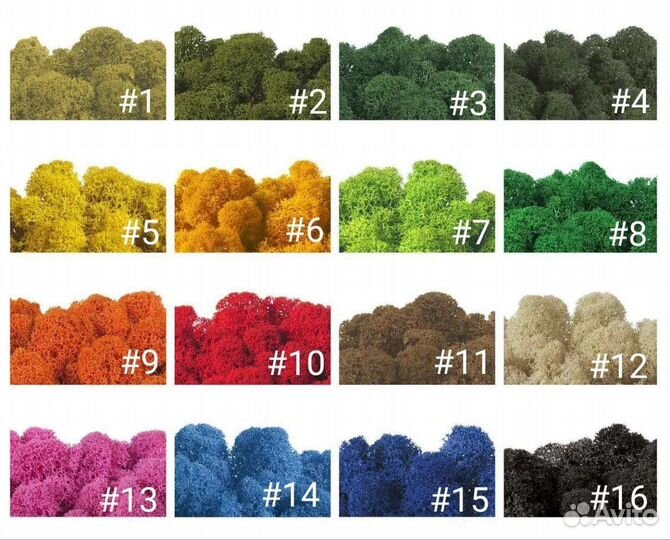 Стабилизированный мох ягель