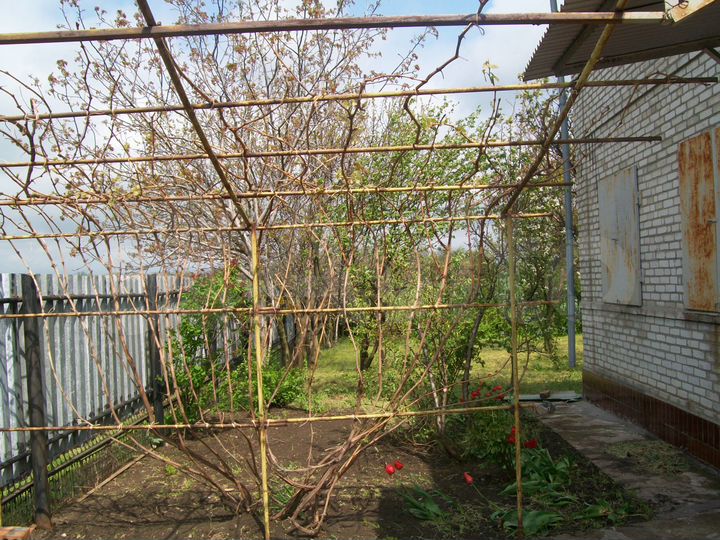 Дом 113 м² на участке 11 сот.