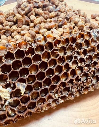 Перга Алтайская