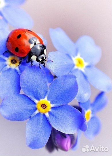 Разработка паспортов опасных отходов