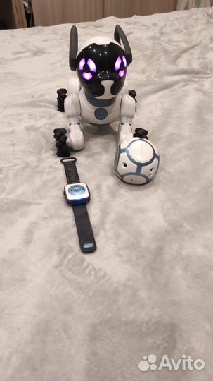 Робот собака чип