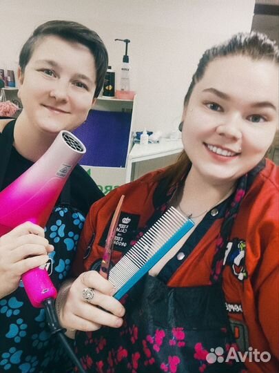 Грумер. Груминг стрижка собак и кошек