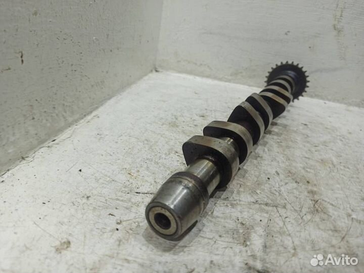 Распредвал выпускной Ауди