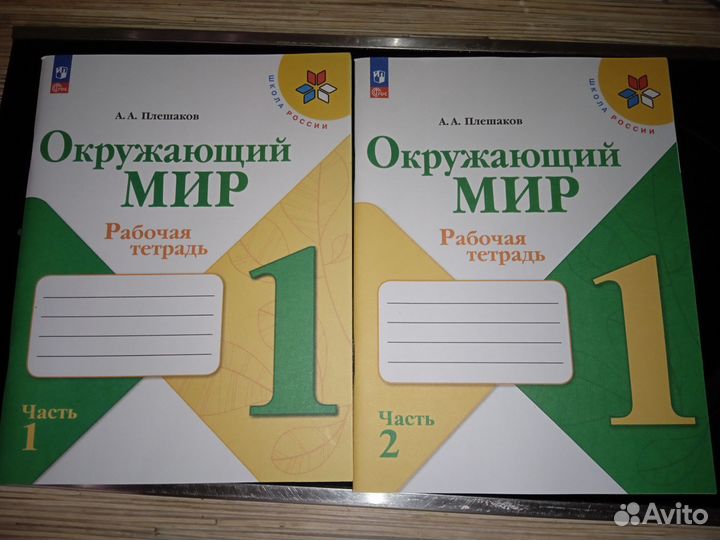 Рабочие тетради 1 класс школа россии
