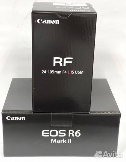 Canon EOS R6 Mark II Kit RF 24-105mm f/4 L IS USM