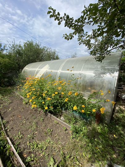 Дача 20 м² на участке 6 сот.