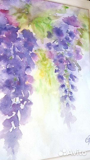 Картина акварель Цветы Глициния Розы