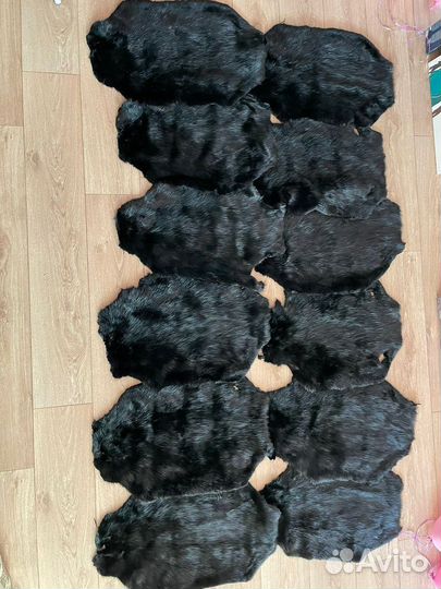 Шкуры бобров