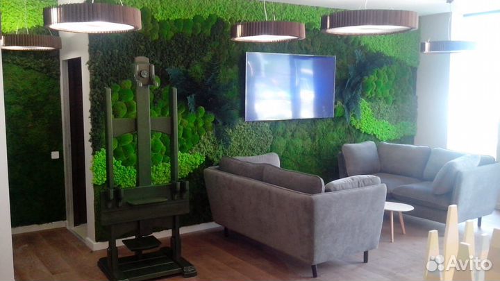 Мох стабилизированный