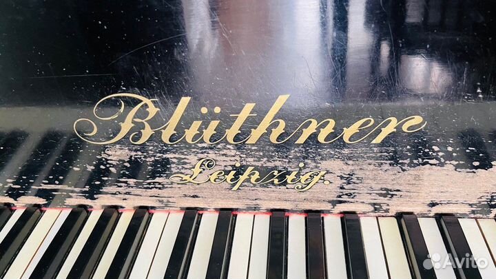 Рояль Bluthner 19 век. Германия