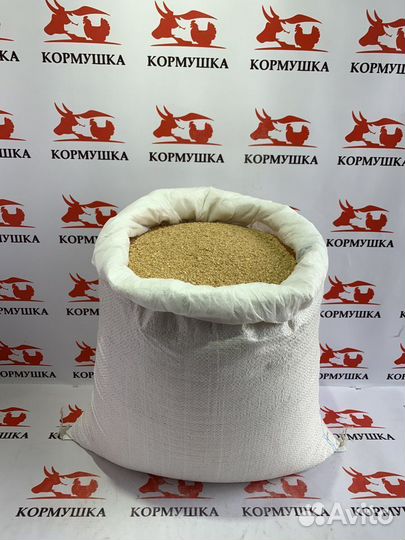 Соевый Шрот протеин 51