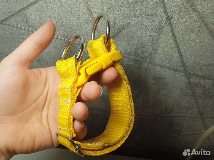 Ошейник для собаки