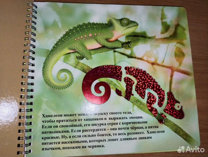 Трафарет для детей