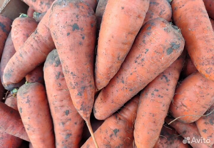 Овощи и фрукты