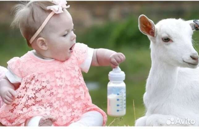 Козье молоко