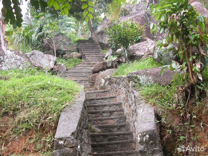 Турпоездка на Seychelles от 7 дней