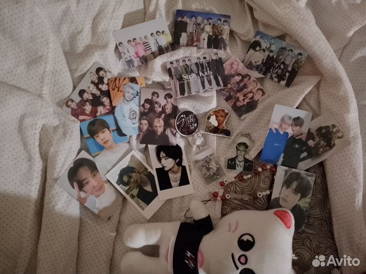Бокс stray kids