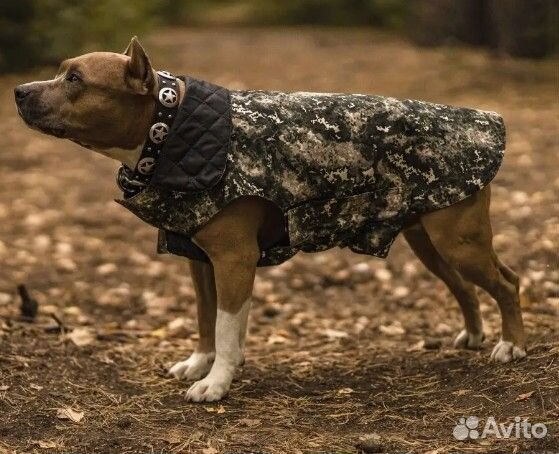Зимняя попона для собак спинка 30 и 35 см новая