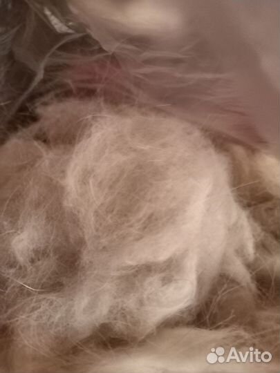 Собачья шерсть пух