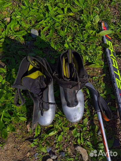 Лыжи беговые