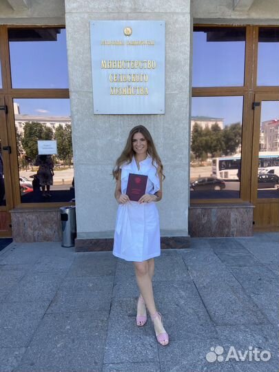 Репетитор информатике огэ