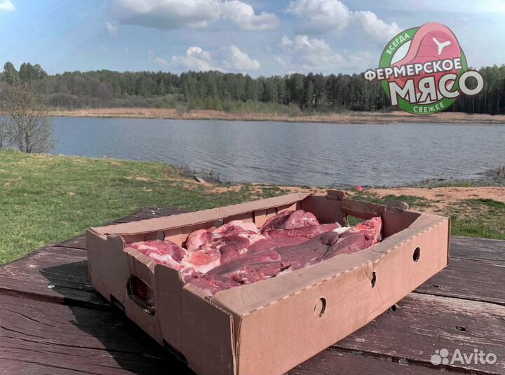 Мясо говядина