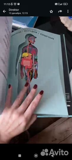 Книга о человеке