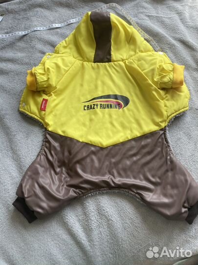 Болоневый комбинезон Petmax