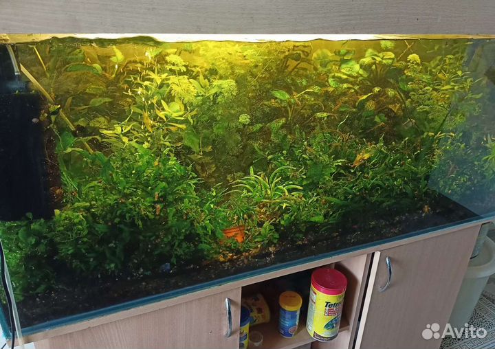 Аквариум 300л