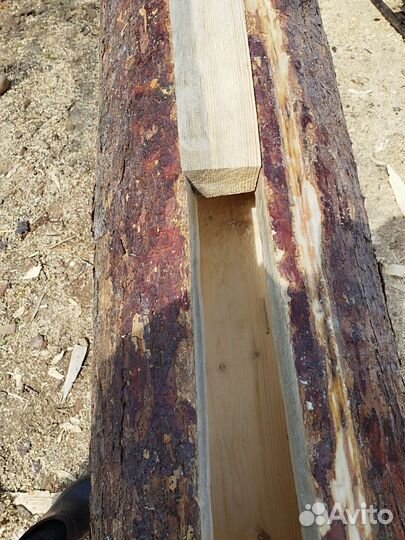 Колода для пчел