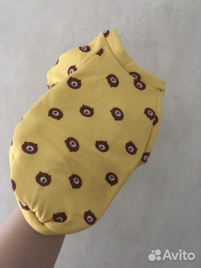 Одежда для собак