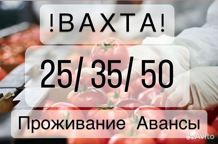 Фасовщик-Упаковщик/ца с проживанием Вахта Тула