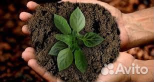 Плодородная почва