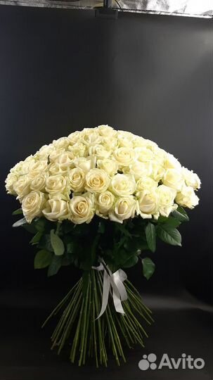 Цветы букеты 101 роза