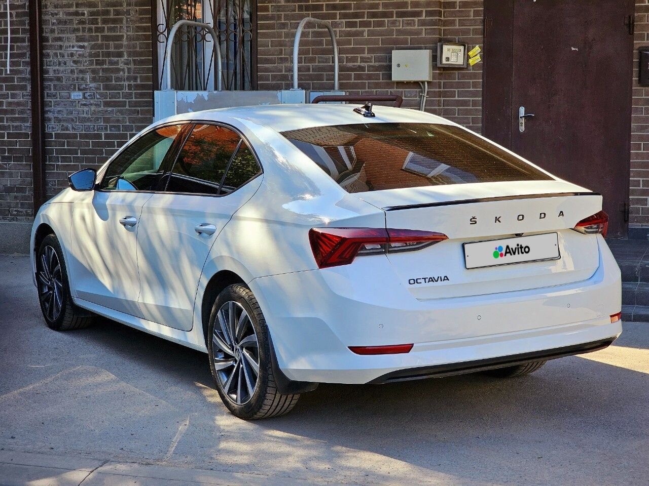 Skoda Octavia: фото владельца