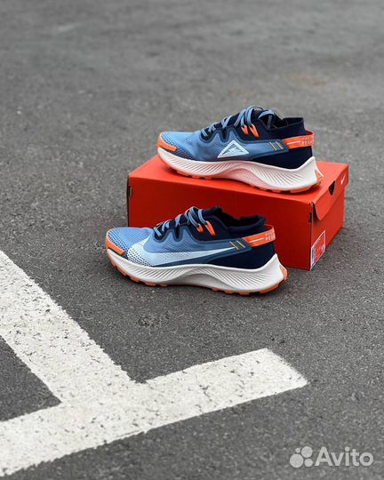 Кроссовки Nike pegasus trail 2