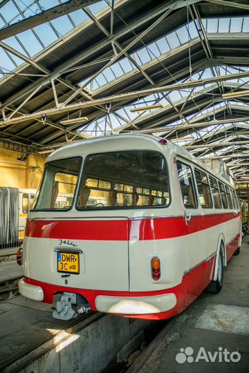 Автоэлектрик с выездом только оживление авто 24 7