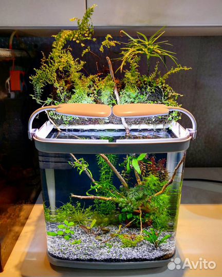 Чистка, обслуживание и оформление аквариумов