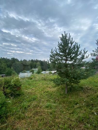 Дача 40 м² на участке 11 сот.