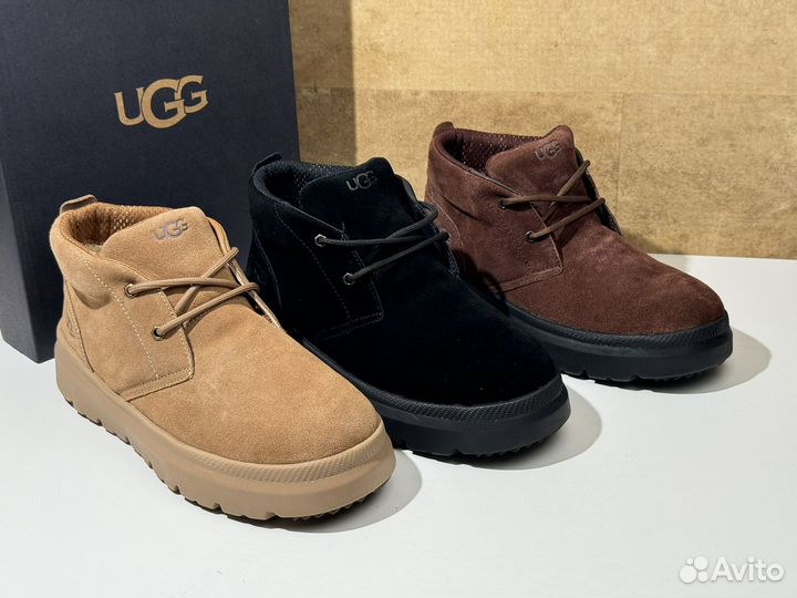 Ботинки зимние Ugg Burleigh Chukka Dusty Cocoa