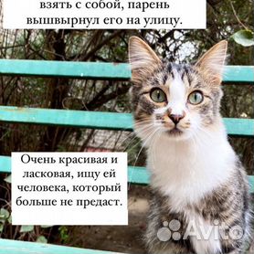 Аварии Астрахань | ВКонтакте