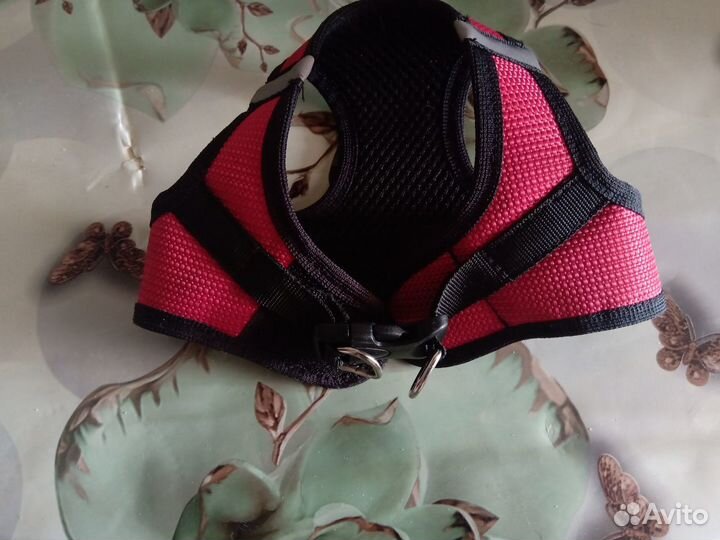 Шлейка плотная качественная,той-йорк