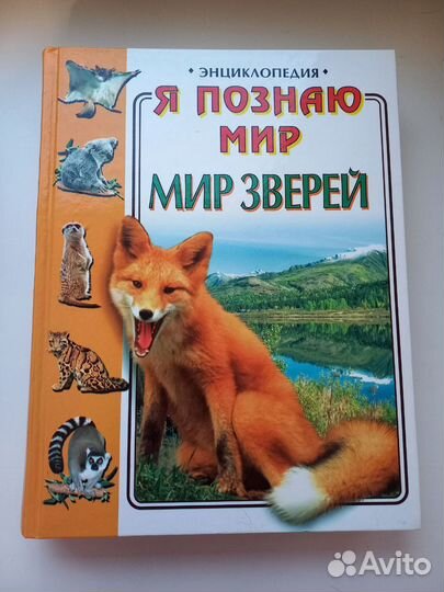 Энциклопедия