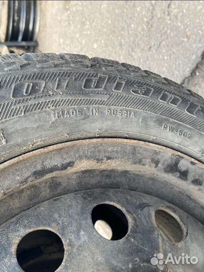 Cordiant Polar 2 205/55 R16